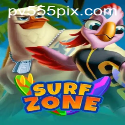 SurfZone: Riding the Digital Waves with PV555